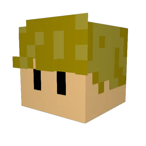 JaMaW01 Minecraft avatar head, 3D render