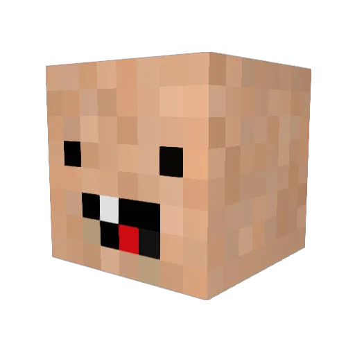 JaNcHeS Minecraft avatar head, 3D render