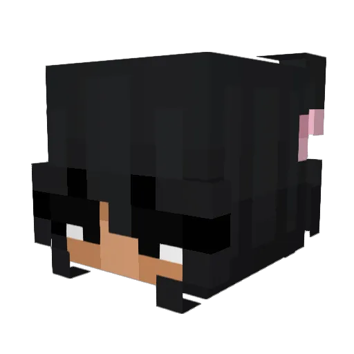 JaNiah Minecraft avatar head, 3D render