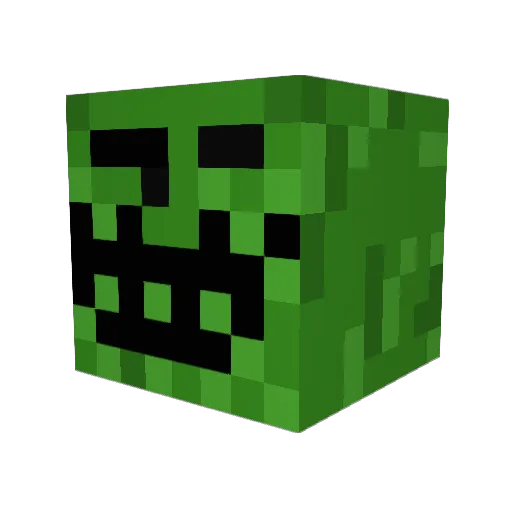 JaNkA_TOP Minecraft avatar head, 3D render