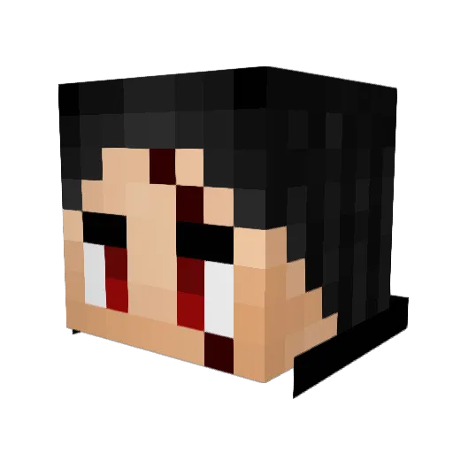 JaNooby Minecraft avatar head, 3D render