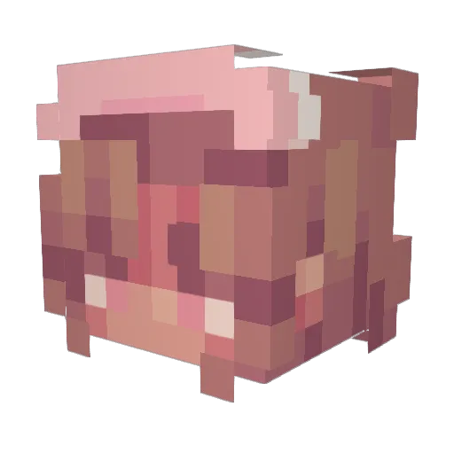 JaYzAyLa06 Minecraft avatar head, 3D render