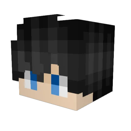 Ja__ni Minecraft avatar head, 3D render