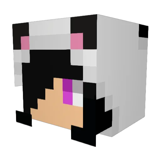JaaFi Minecraft avatar head, 3D render