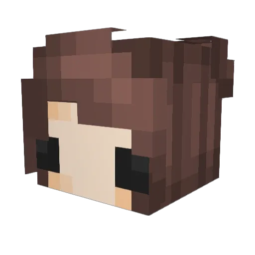 Jaaaaaaaaames Minecraft avatar head, 3D render