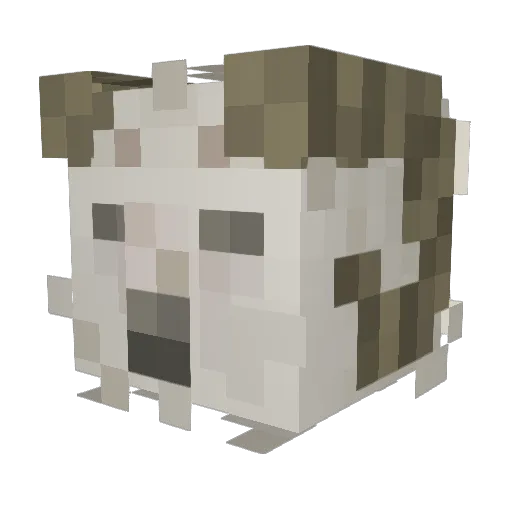Jaaaaaakoooooob Minecraft avatar head, 3D render
