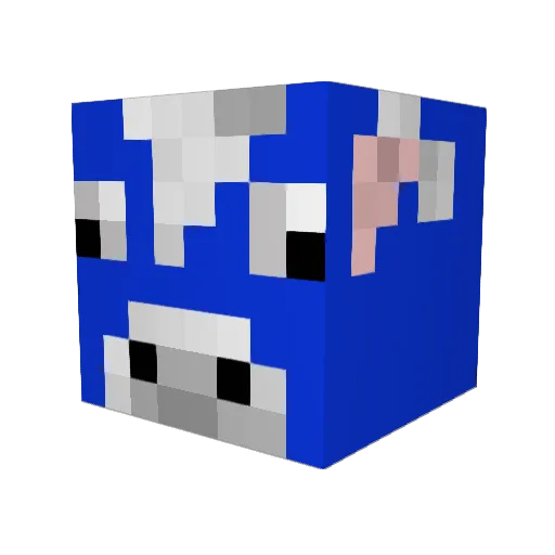 Jaaadon Minecraft avatar head, 3D render