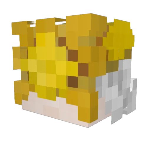 Jaaaxxx Minecraft avatar head, 3D render