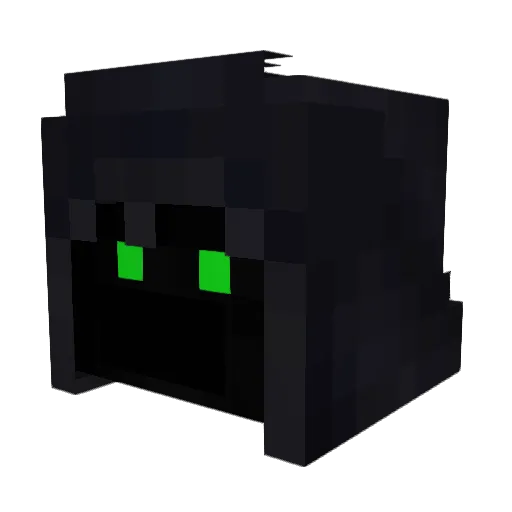 Jaaay2001 Minecraft avatar head, 3D render