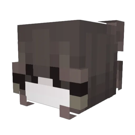 JaanaaI Minecraft avatar head, 3D render