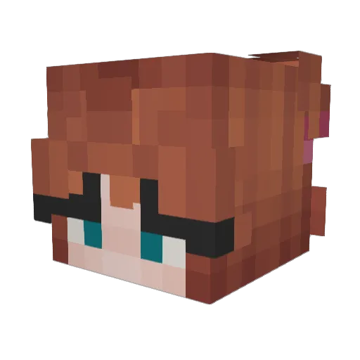 Jaantje04 Minecraft avatar head, 3D render