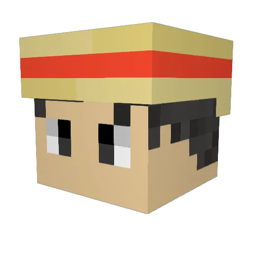 Jaanus69 Minecraft avatar head, 3D render