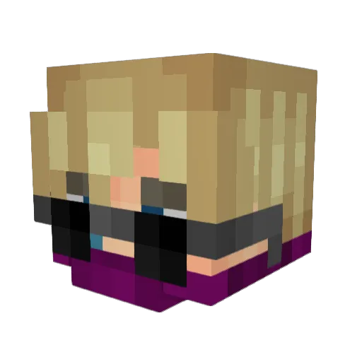 Jaarbeez Minecraft avatar head, 3D render