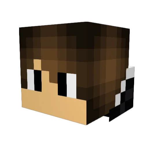 Jaargon Minecraft avatar head, 3D render