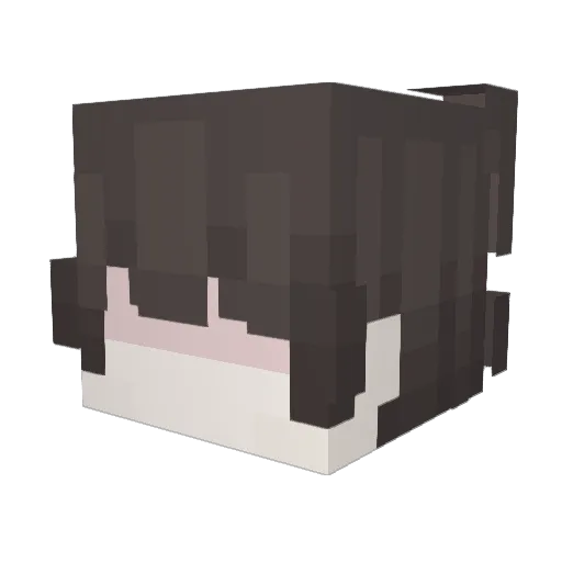 Jaauhaha Minecraft avatar head, 3D render