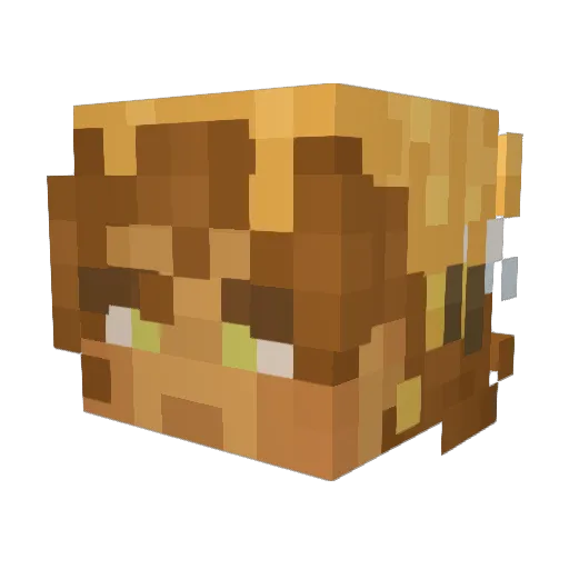 JabaJibba Minecraft avatar head, 3D render