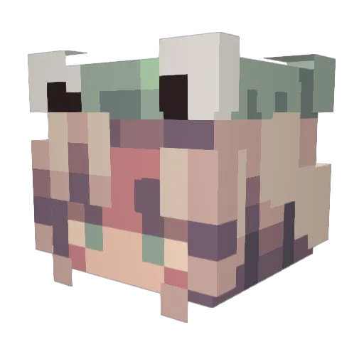 Jabb3rWock3 Minecraft avatar head, 3D render