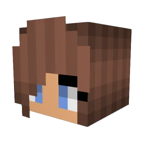Jabbabon Minecraft avatar head, 3D render