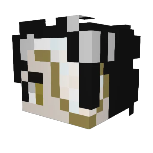 JabutiPadeiro Minecraft avatar head, 3D render