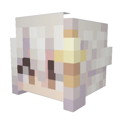 Jabvens Minecraft avatar head, 3D render