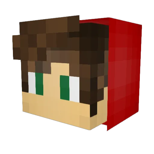 Jac0029 Minecraft avatar head, 3D render