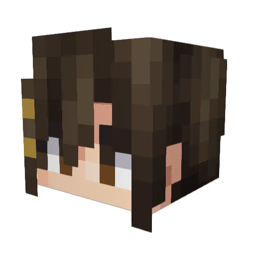 Jac0o0 Minecraft avatar head, 3D render