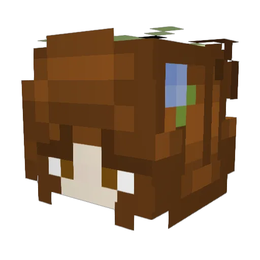 JacLine2020 Minecraft avatar head, 3D render