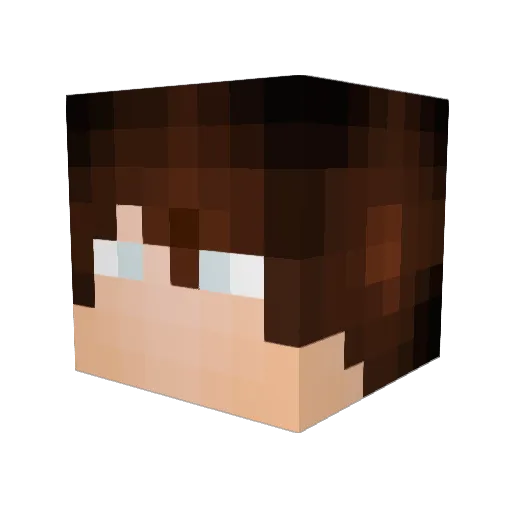 Jaca21 Minecraft avatar head, 3D render