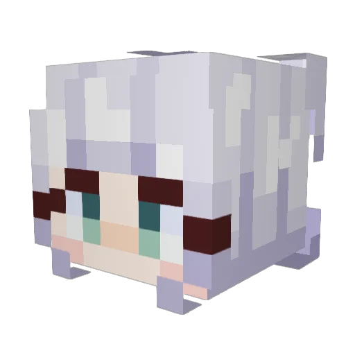 Jacapuss Minecraft avatar head, 3D render