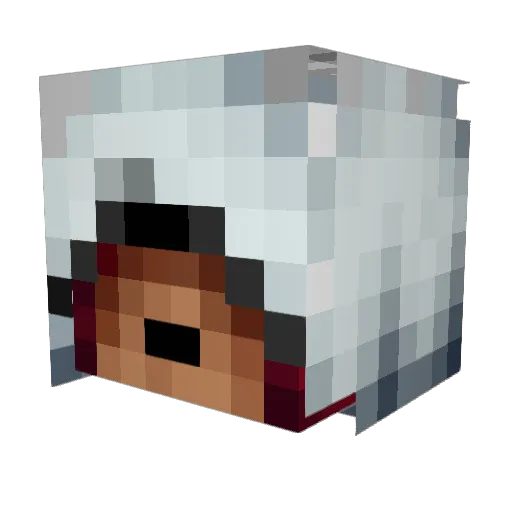 Jacardy Minecraft avatar head, 3D render