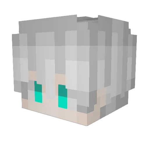 Jaccox Minecraft avatar head, 3D render