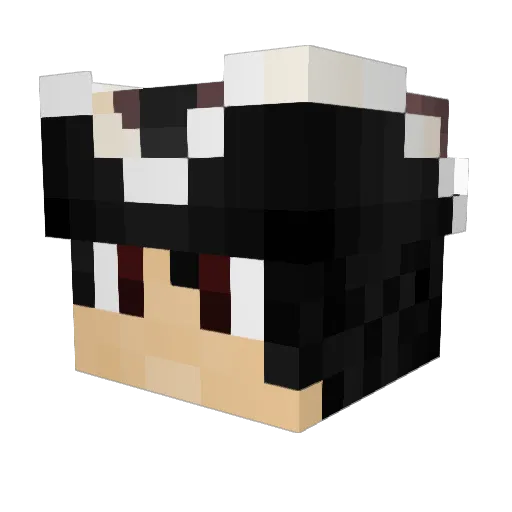 JaceMinecraft Minecraft avatar head, 3D render