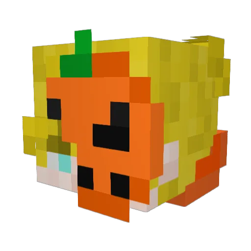 JaceNrace Minecraft avatar head, 3D render