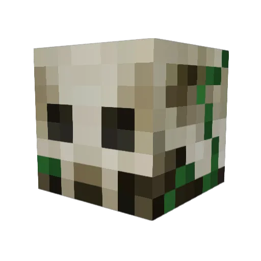 JaceRust Minecraft avatar head, 3D render