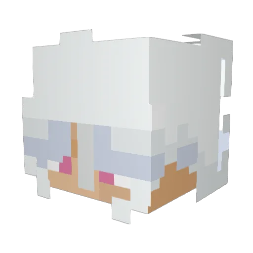 JaceTheAce_ Minecraft avatar head, 3D render