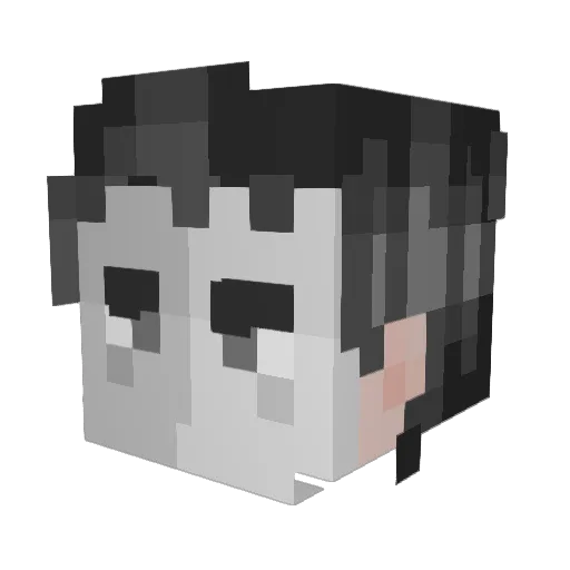 JaceTout Minecraft avatar head, 3D render