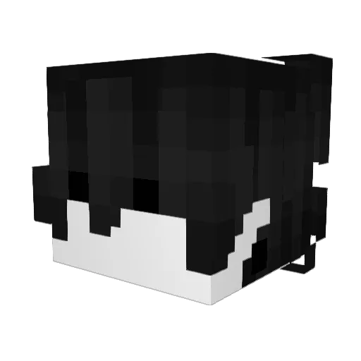 JaceTrout Minecraft avatar head, 3D render