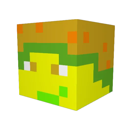 Jacecat2010 Minecraft avatar head, 3D render