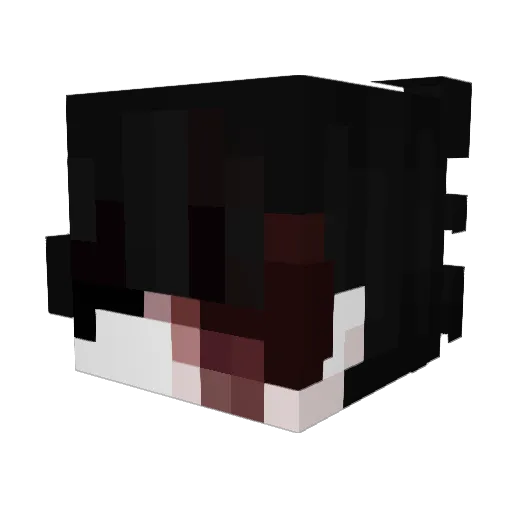Jaceloll Minecraft avatar head, 3D render