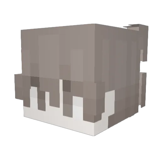 JaceyWasey Minecraft avatar head, 3D render