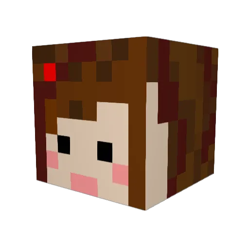 Jaceyx11 Minecraft avatar head, 3D render