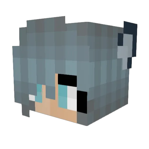 Jachob2000 Minecraft avatar head, 3D render