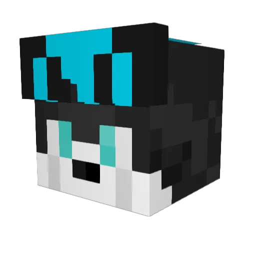 Jachym25 Minecraft avatar head, 3D render