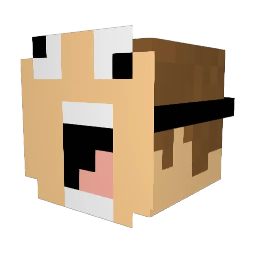 Jacier Minecraft avatar head, 3D render