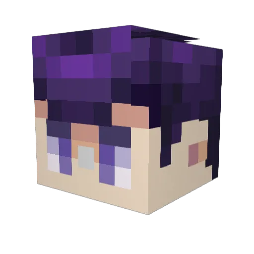 Jack0fAllTradez Minecraft avatar head, 3D render