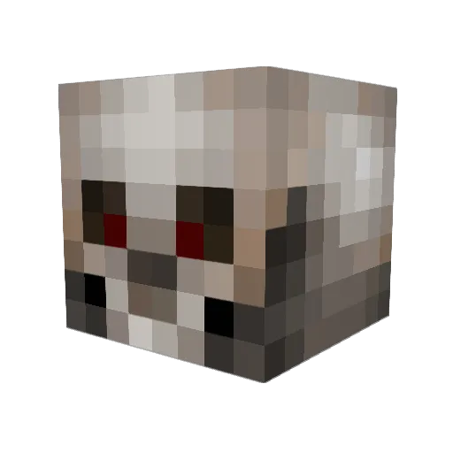JackFrost9 Minecraft avatar head, 3D render