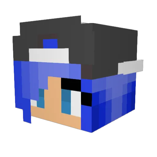 JackJackPlaysMC Minecraft avatar head, 3D render