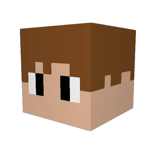 JackN229 Minecraft avatar head, 3D render
