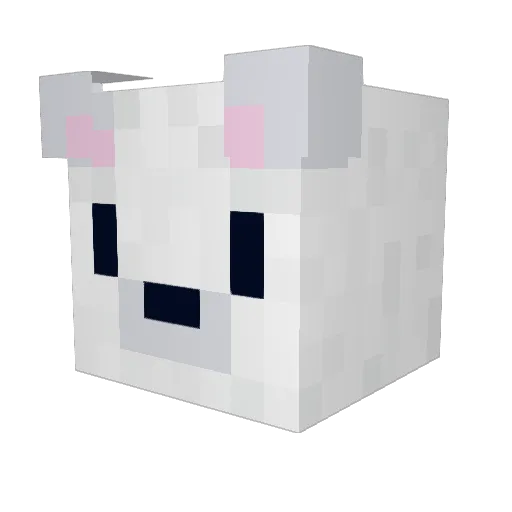 JackSnackgamez Minecraft avatar head, 3D render