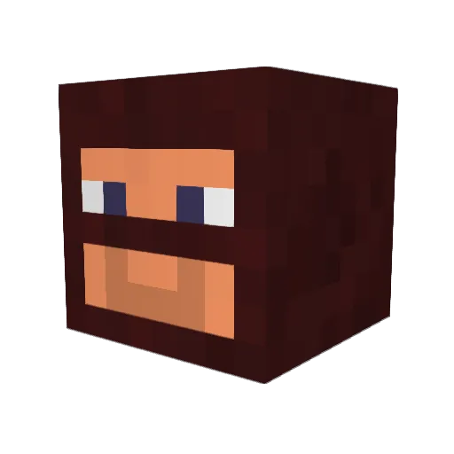 JackTheTurtle390 Minecraft avatar head, 3D render